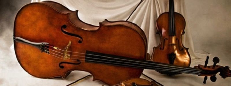 Для школярів Києва хочуть закупити сучасні віолончелі