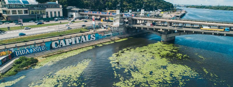 В Киеве бурно "цветет" Днепр: опасно ли это для здоровья, и можно ли купаться
