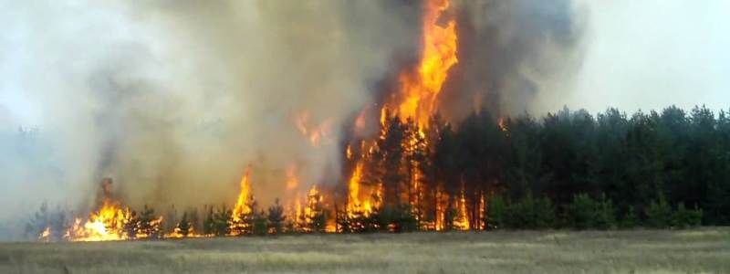 Пожарная опасность в Киеве: что делать, если вас застал огонь