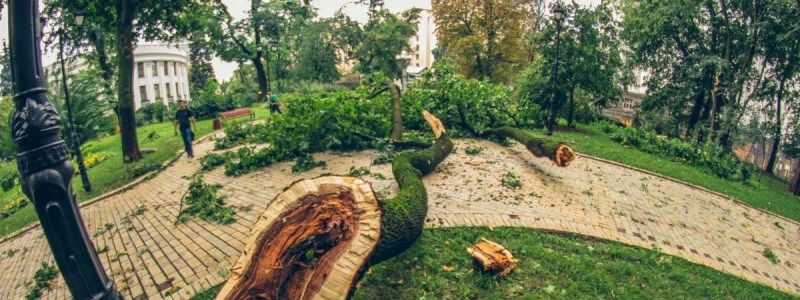 Киев накроет шквальный ветер и град: погода на выходные