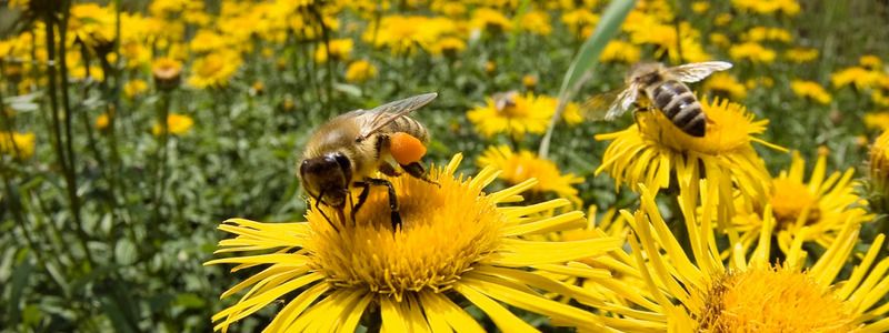 19 августа: какой сегодня праздник