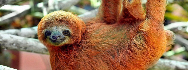 20 августа: какой сегодня праздник