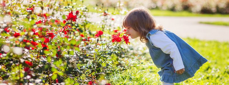 Какая польза от прогулок на свежем воздухе