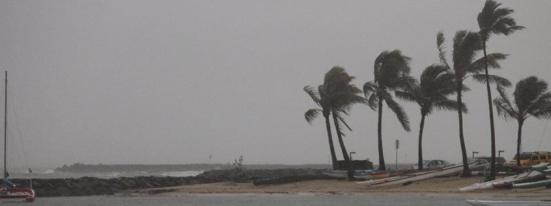 Резня в ресторане Бельгии, баг в Facebook и ураган "Лейн": ТОП новостей дня