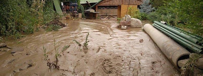 21 погибший из-за машины со взрывчаткой, схождение солевого потока в Китае и перевозбужденный дельфин: ТОП новостей дня