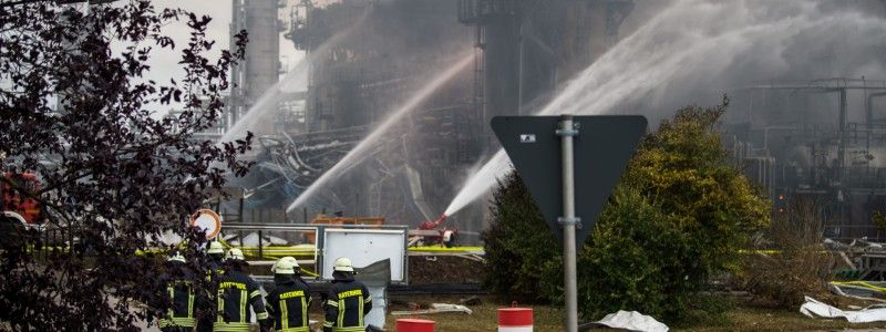 Новый клип ТНМК, смертельные ливни в Китае и дополнительные руки для человека: ТОП новостей дня