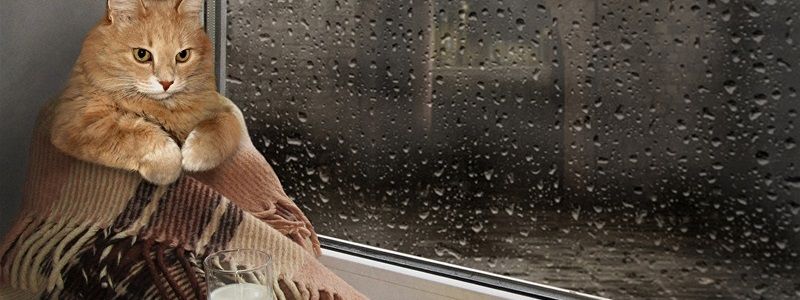 Погода на 9 сентября: Киев накроют дожди с грозами