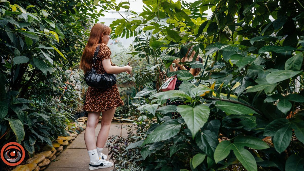 Куди піти у Києві на вихідних: які локації відкриті на ВДНГ восени 5