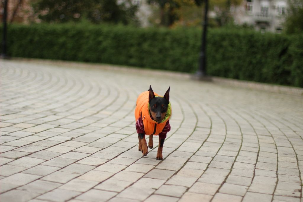 Київ тримається: як виглядає осіння столиця у 595 день повномасштабної війни 7