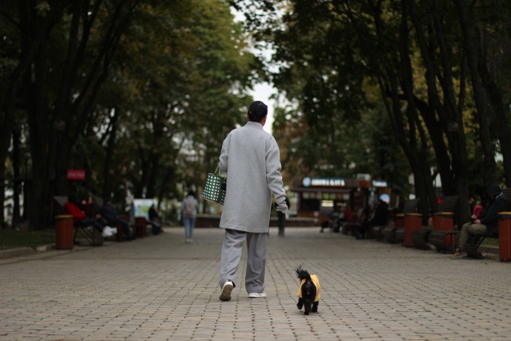 Київ тримається: як виглядає осіння столиця у 595 день повномасштабної війни 8