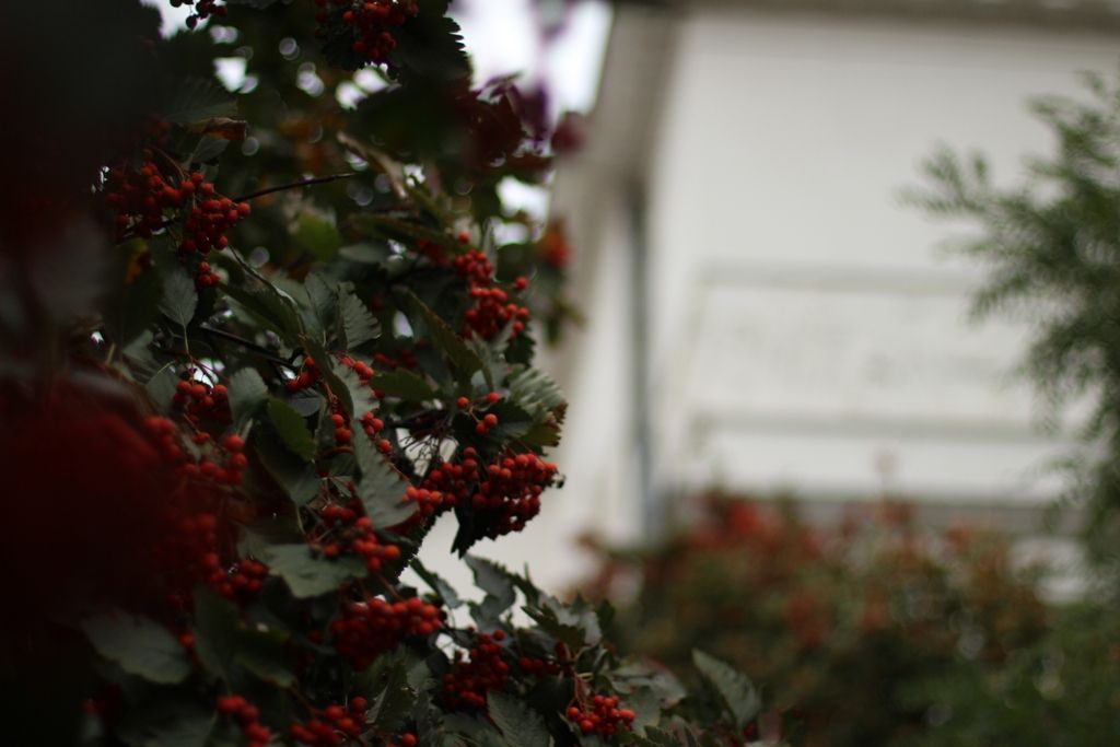 Київ тримається: як виглядає осіння столиця у 595 день повномасштабної війни 12