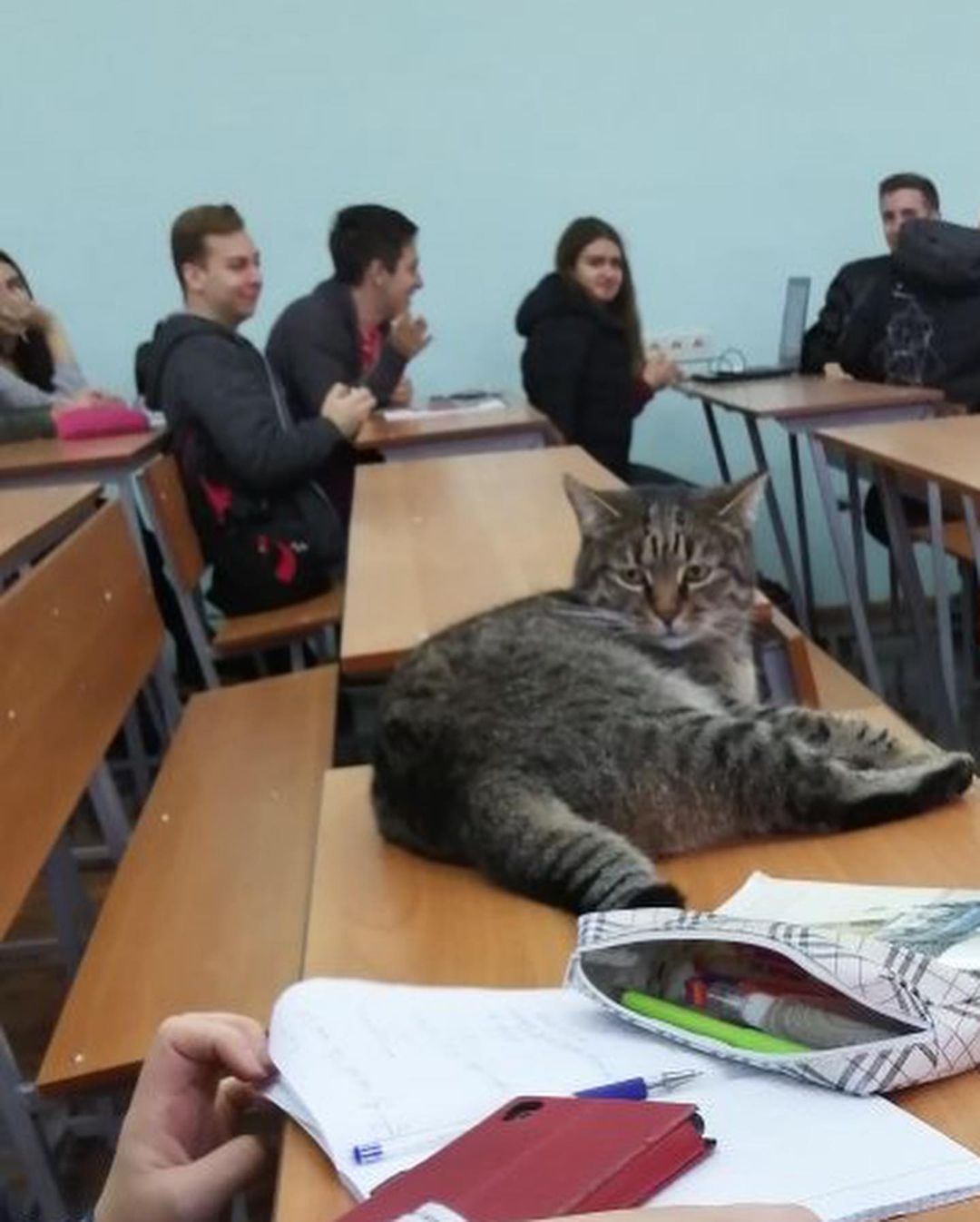 Мария Захаровна не в первый раз навещает пары: она дама образованная, а вы думали! :)