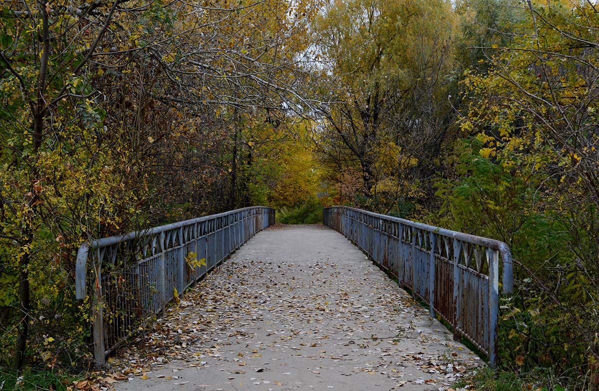 Парк Муромець 