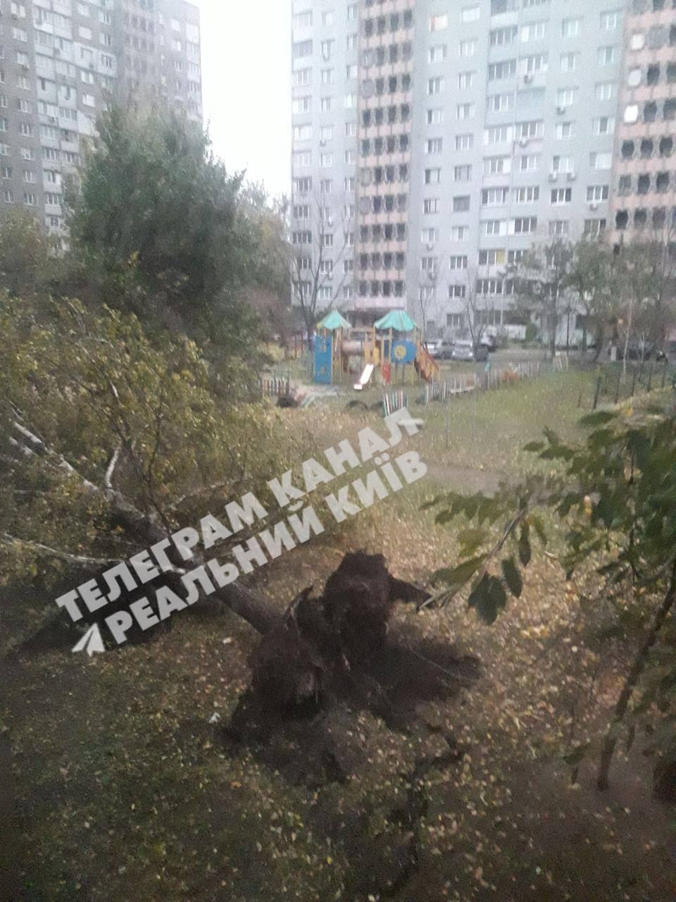 Дерево впало біля дитмайданчику