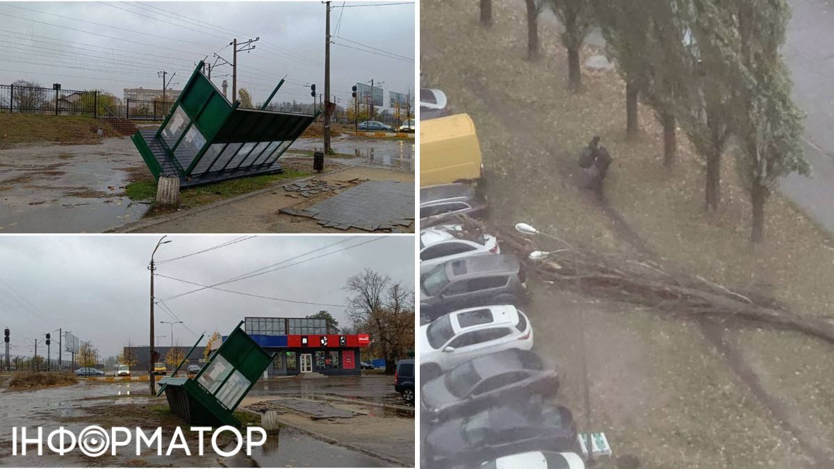 Деревья, поврежденные объекты