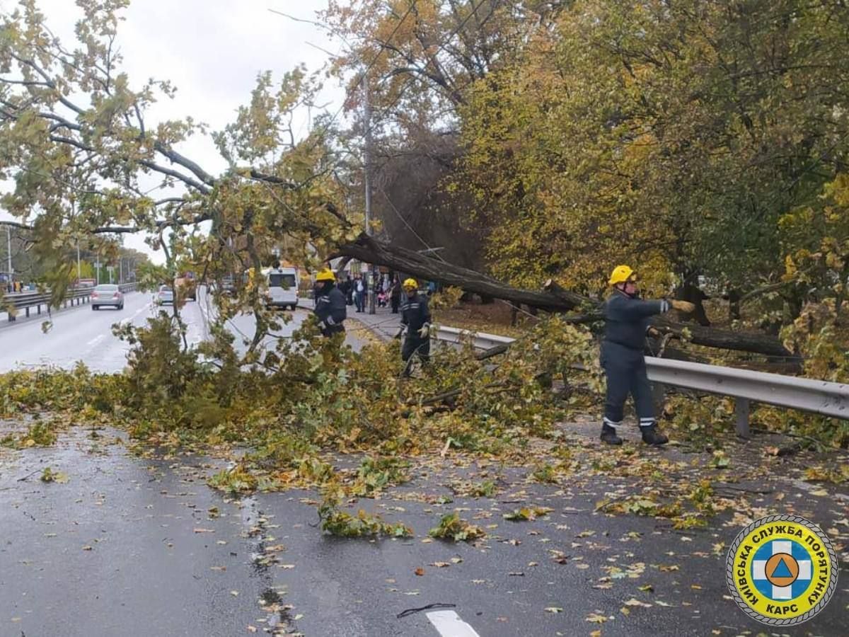 Спасатели оперативно убирают упавшие деревья