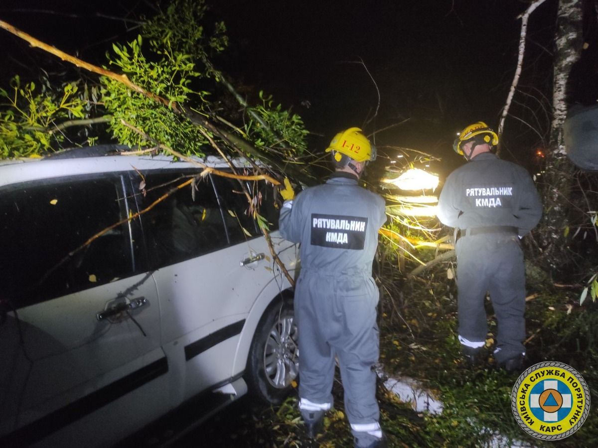 Спасатели освободили внедорожник от дерева