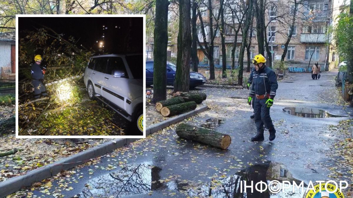 Дерево впало на авто у Києві