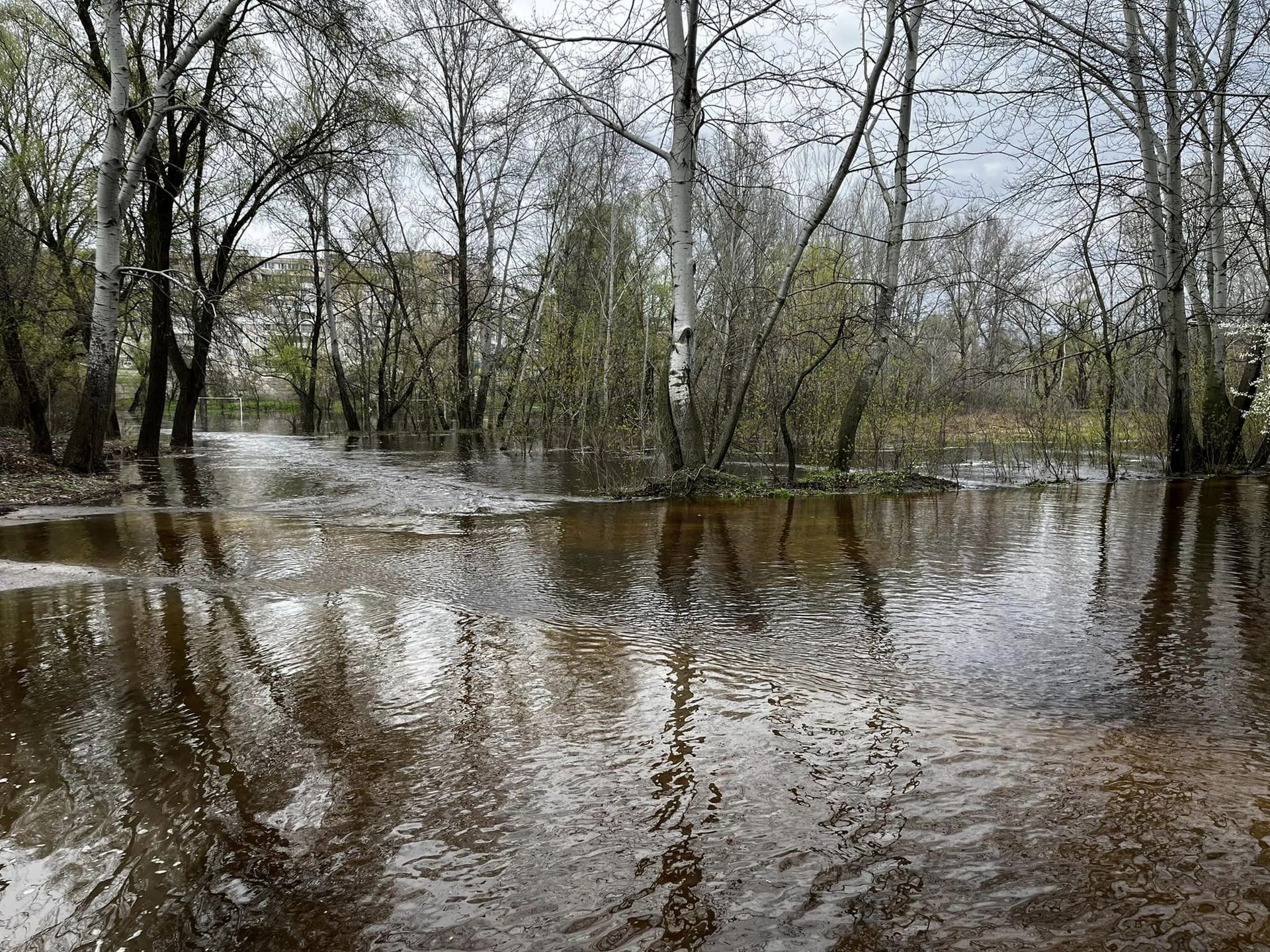 Территорию парка затопило. Фото – сайт «Комментарии»