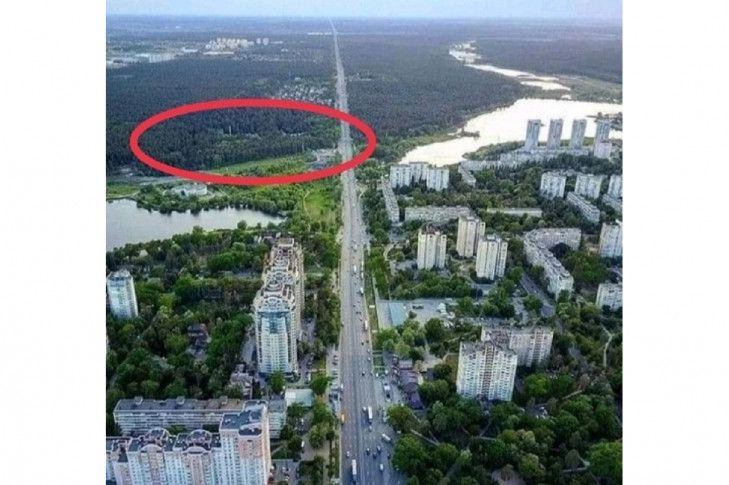 В цьому місці, нібито, забудовник планує зрізати дерева