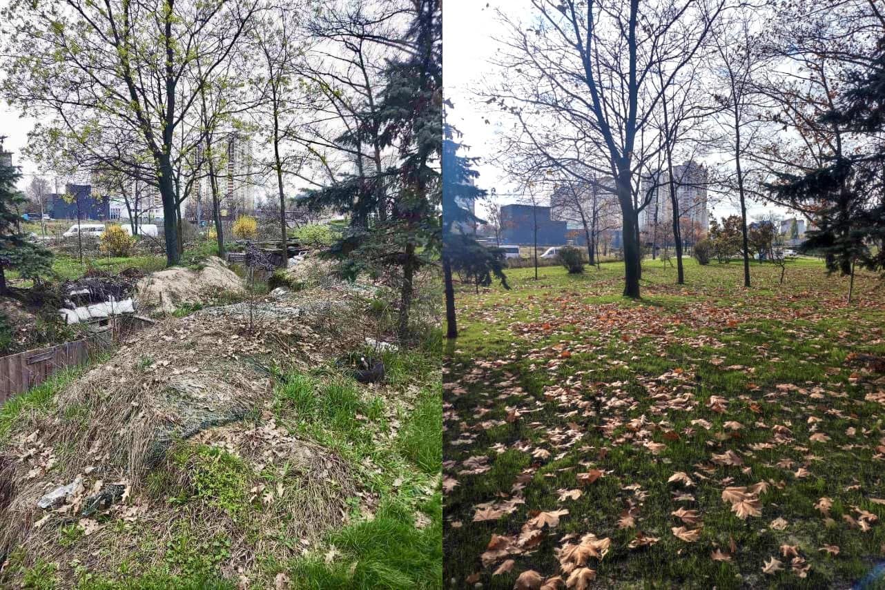 Восстановили зеленые насаждения