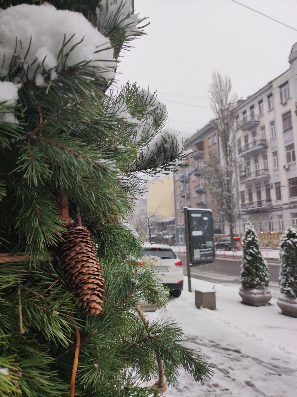 Перший сніг у столиці. Фото з мережі