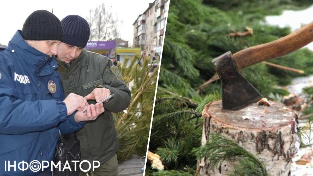 Самовільна рубка дерев перед Новим роком