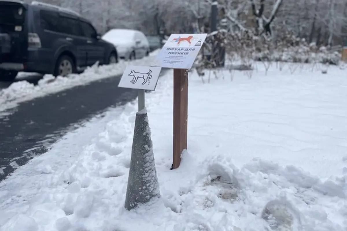 Объект служит своеобразной доской для собачьих 