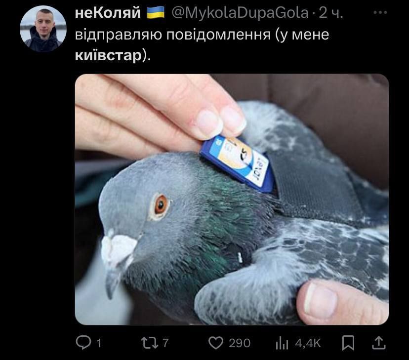 ...дехто вже суне в голуба повідомлення