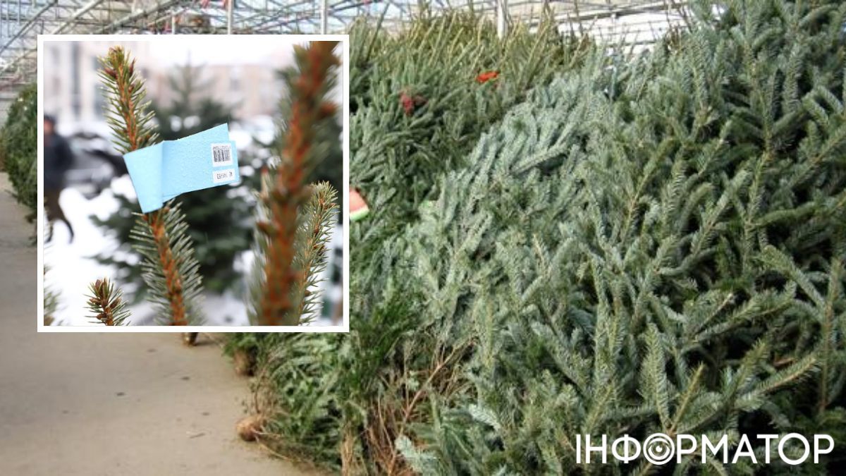 Новини Києва, Новий рік