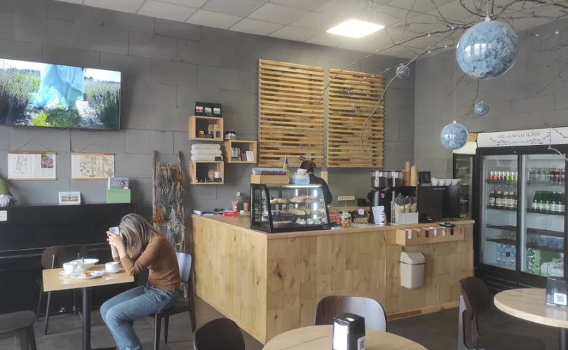 Цей заклад коштуватиме трохи більше за 18 тис доларів