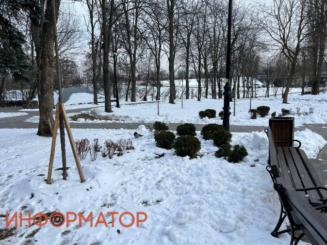 Впрочем, их корни не защищены от вредного влияния погодных условий