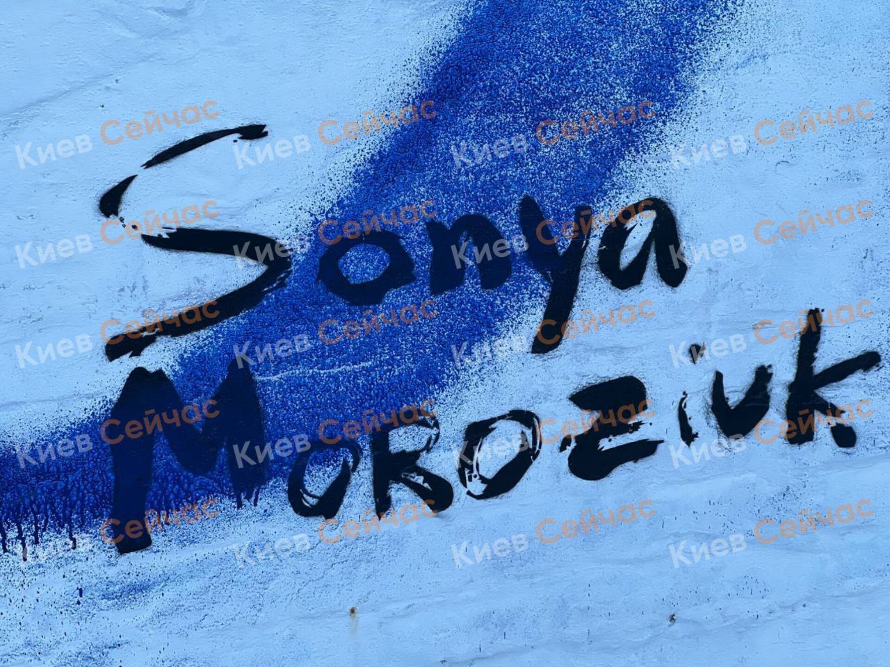 Над створенням стінопису "Голос країни" працювала скандальна художниця Морозюк