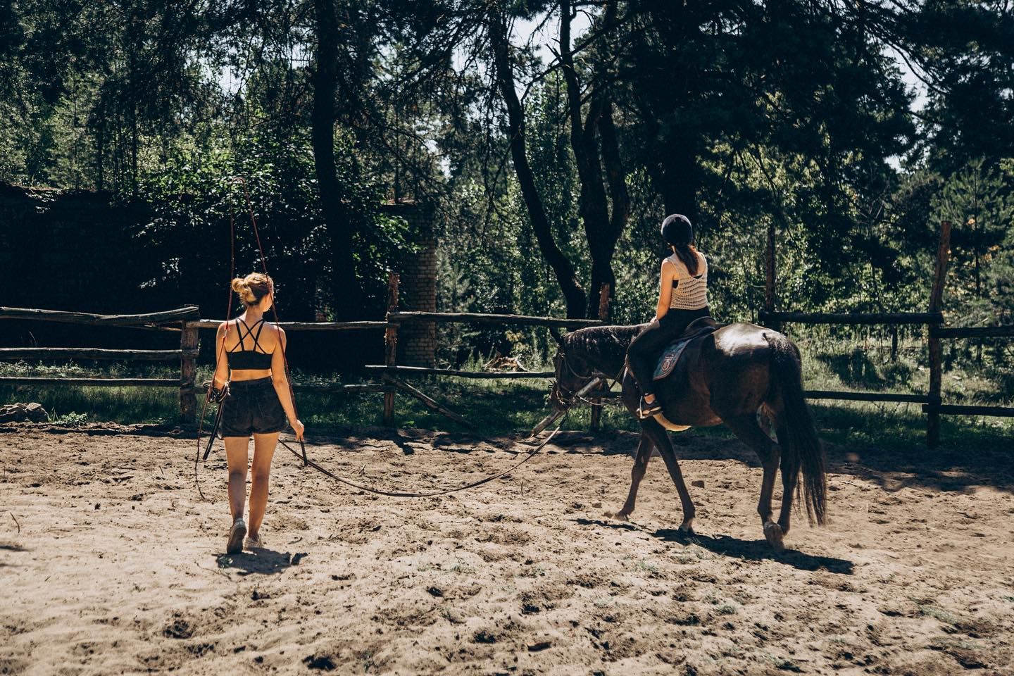 Фото: Кінноспортивний клуб Дарвін