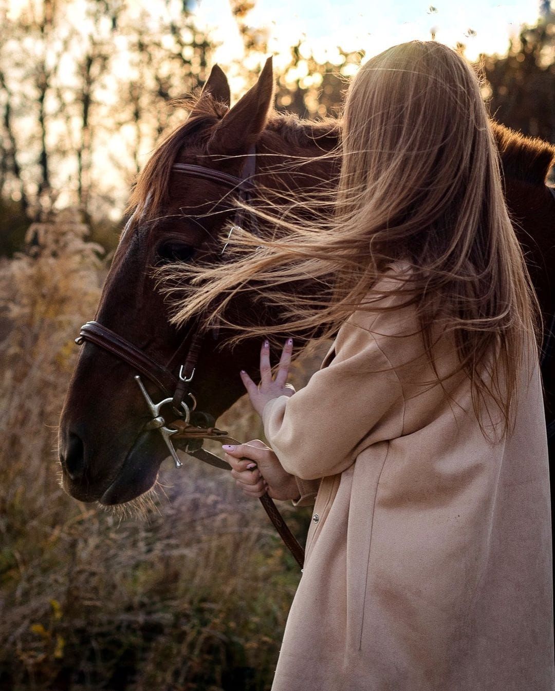 Фото: Кінноспортивний клуб Golden Horse.
