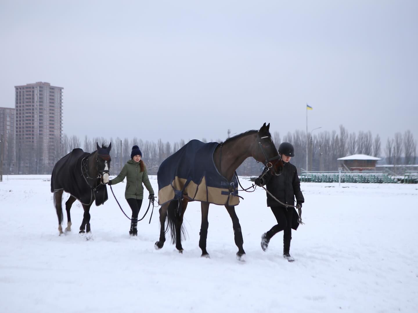Фото: Благодійний кінний клуб Free Riding Club