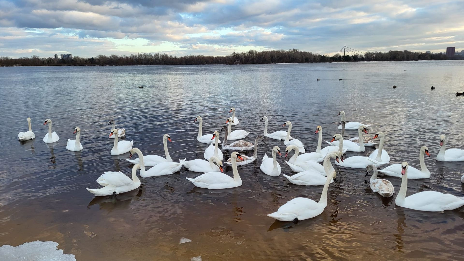 Фото - Мишко Нако/Facebook