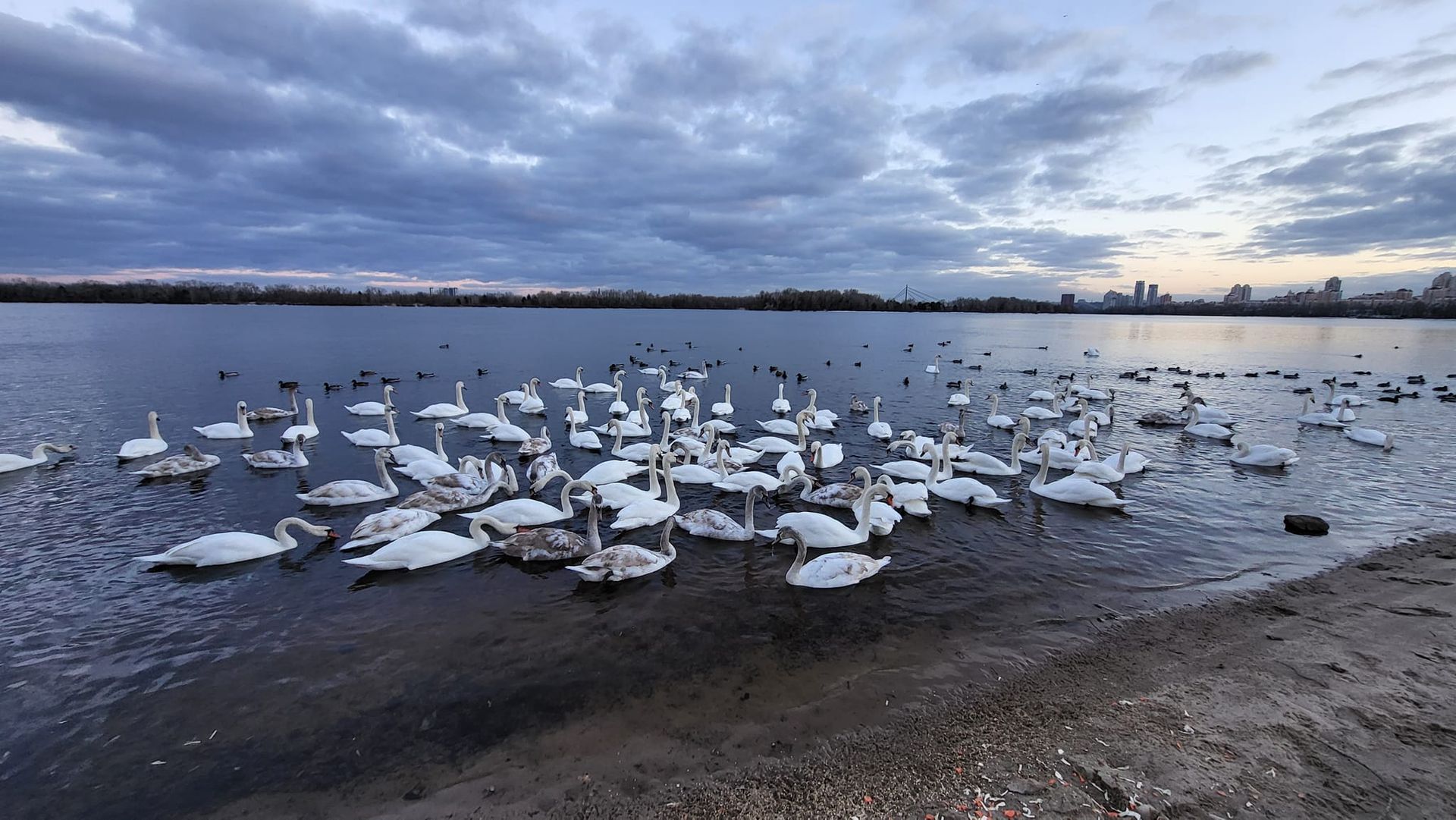 Фото - Мишко Нако/Facebook