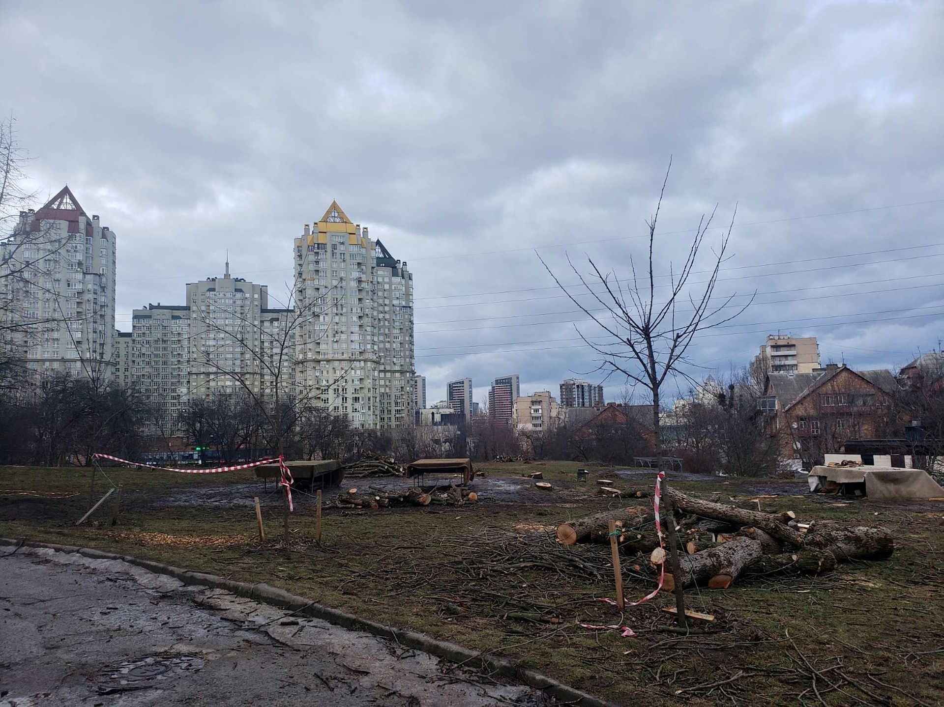 Дерево сложено аккуратными кучками.