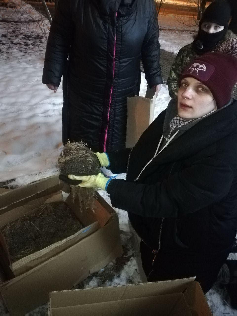 Животным комфортно в картонных коробках, застеленных сеном. Фото Кирилл Талер