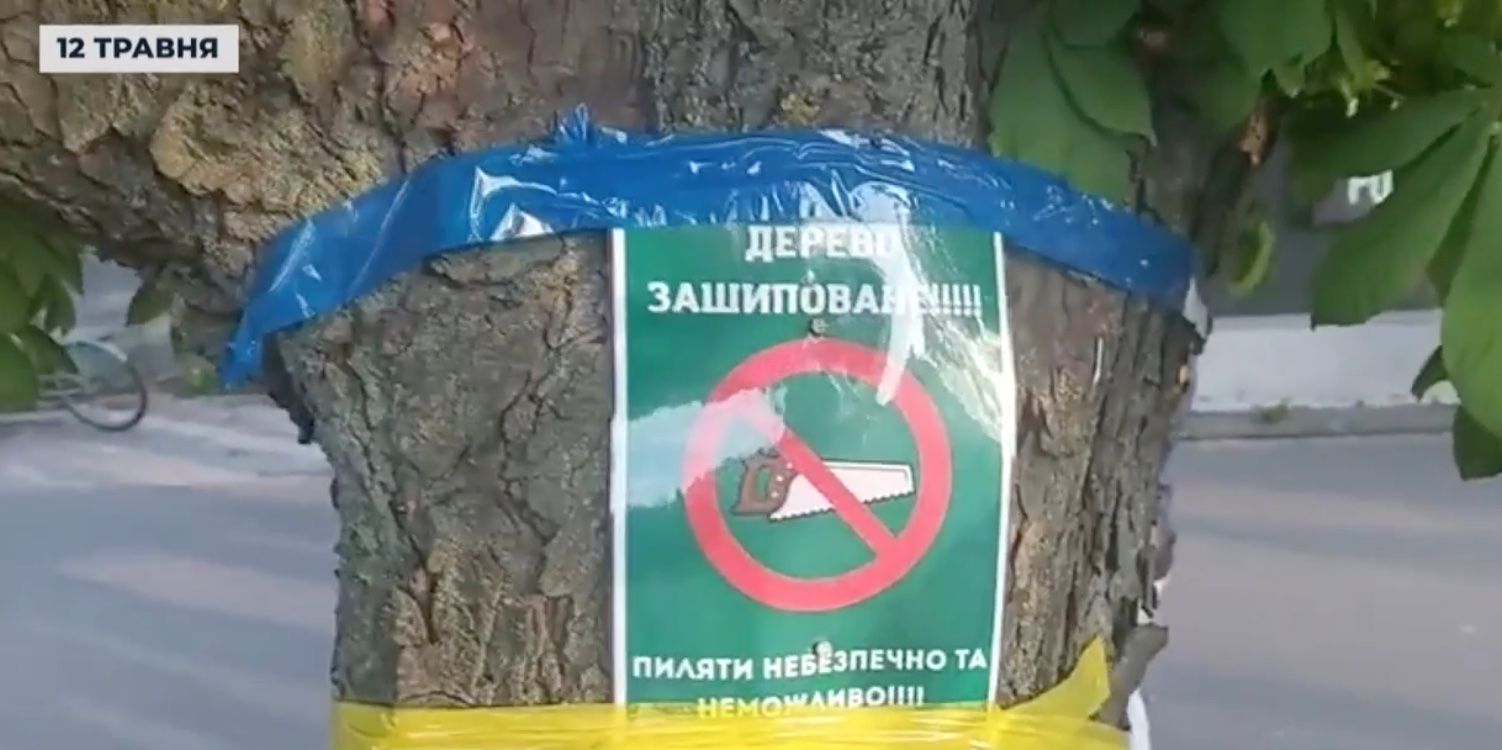 Активісти проводили "шипування" дерев. Скрін з репортажу Трибуна — Бровари
