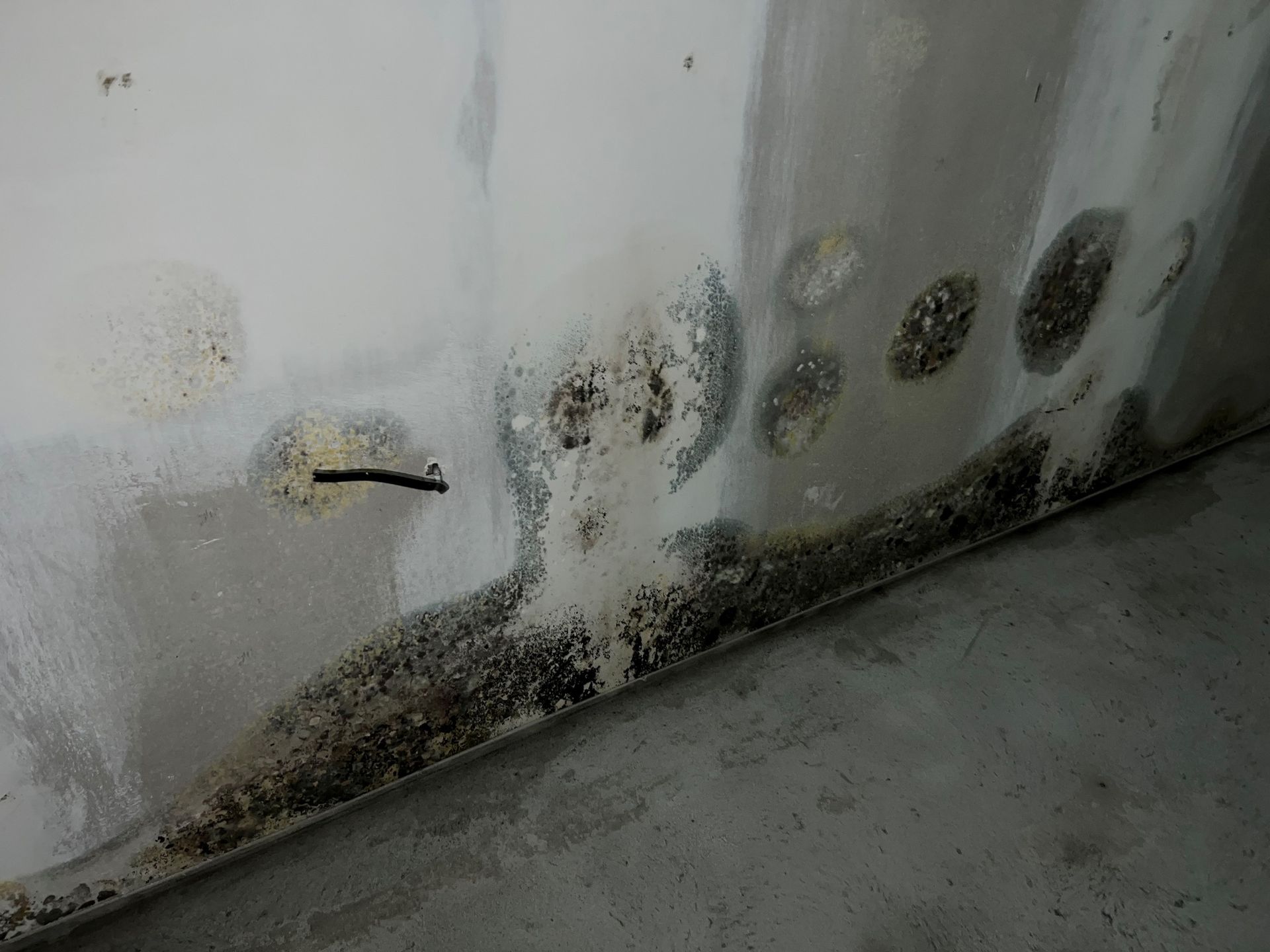 Укрытие с душком: прокуратура Киева заинтересовалась ремонтом на проспекте Червоной Калины 2