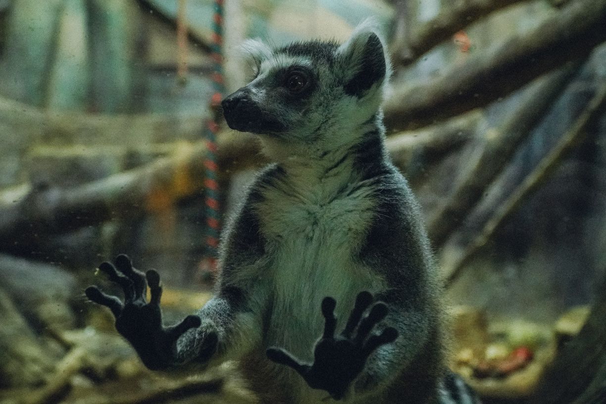 Фото: Твій Київ