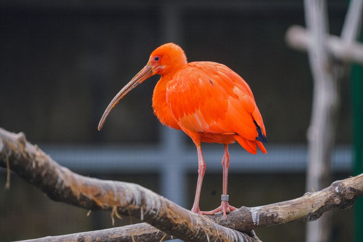 Фото: Твій Київ