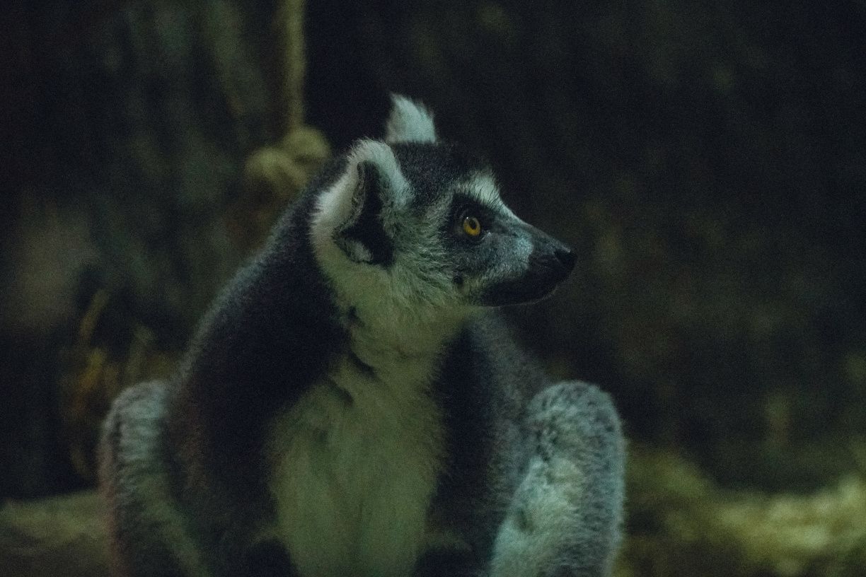 Фото: Твій Київ