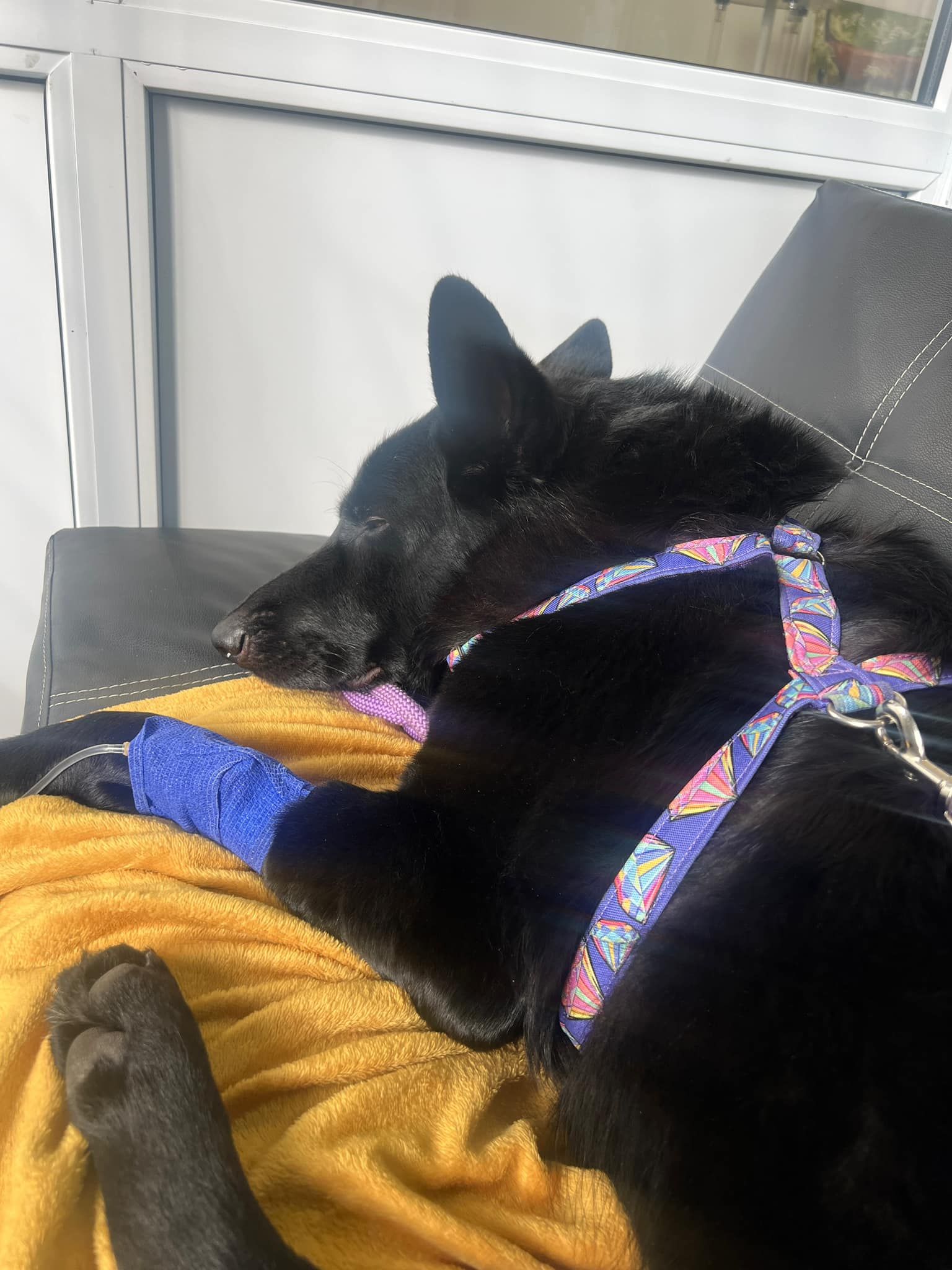 Фото: Ельвіра Артамонова