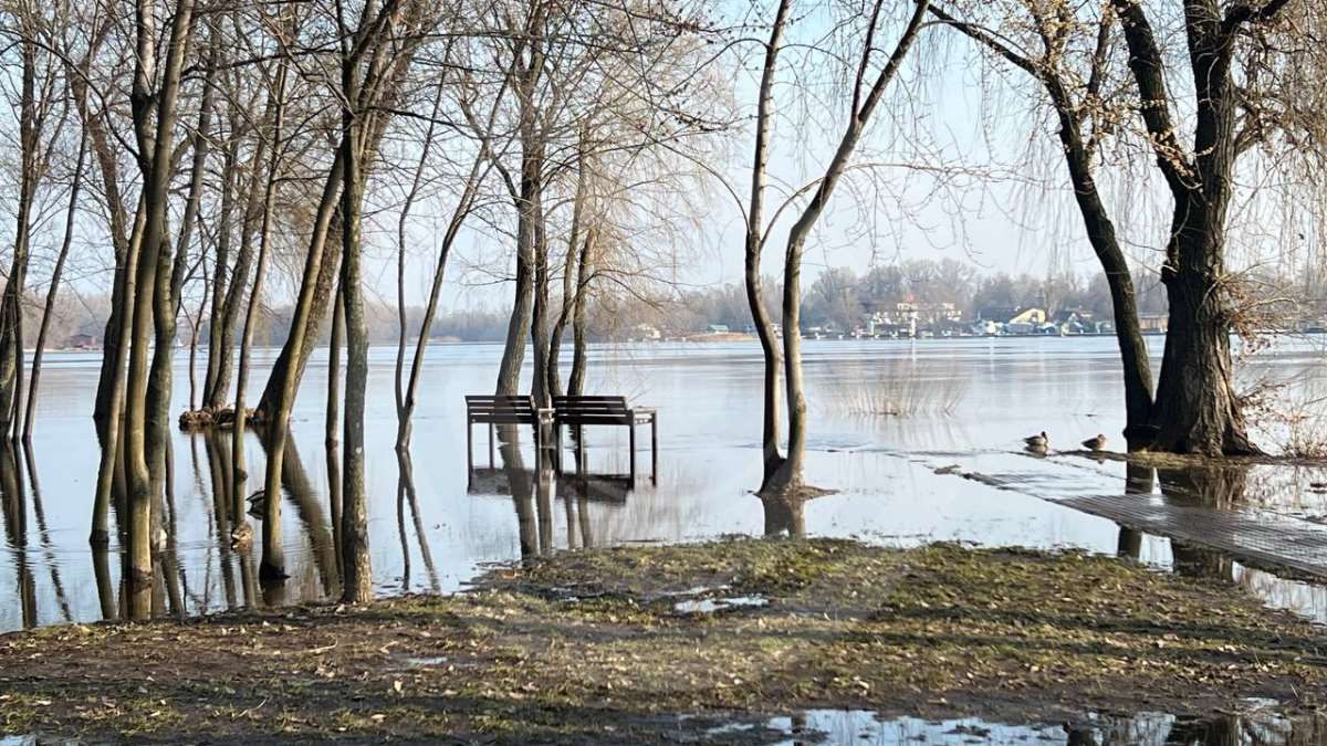 Некоторые пешеходные дорожки парка "Наталка" оказались под водой