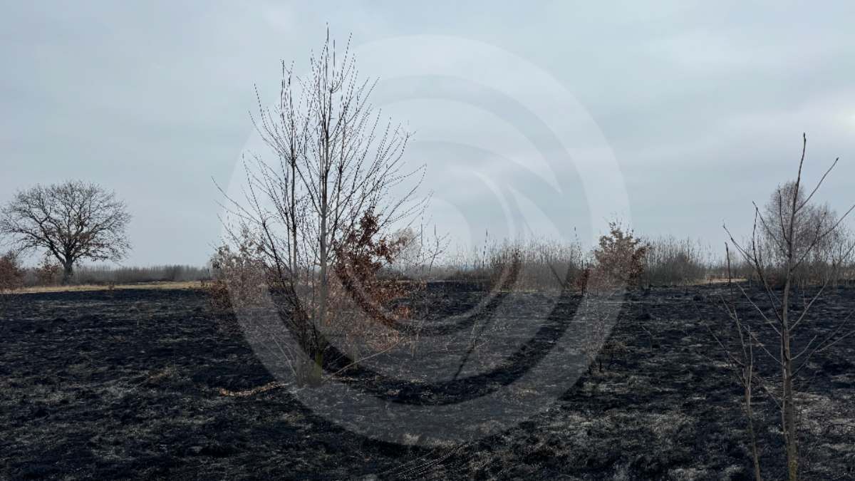 У поліції чекають на складання акту від ДСНС, що гасила пожежу у вівторок