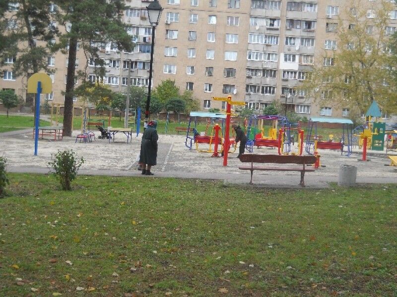 Киевзеленстрой заказал рабочий проект ремонта парка на ДВРЗ: что планируют сделать 1