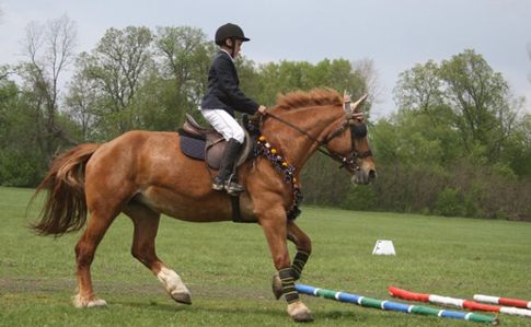 Аудит держпідприємства показав мільйонні збитки.
